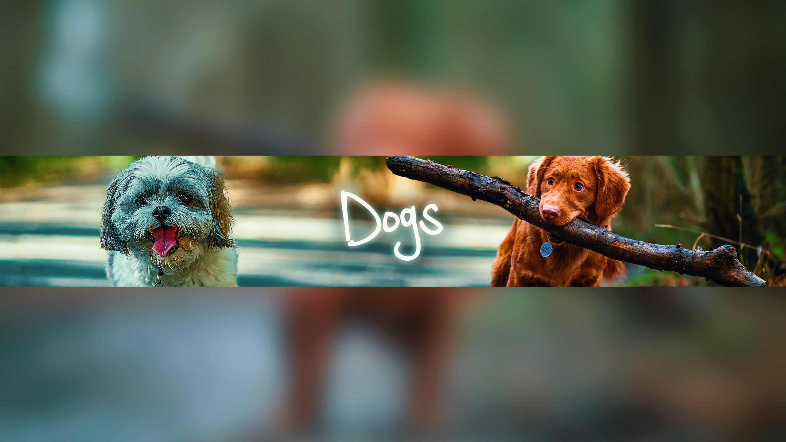 Dogs Banner